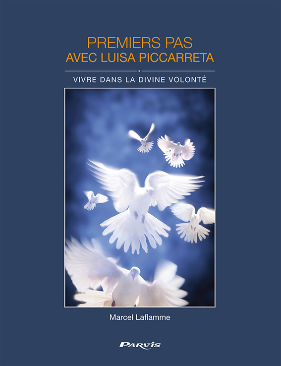 Boutique Luisa Piccarreta Le Livre Du Ciel Tome 33 Missionnaires De La Divine Volonté 