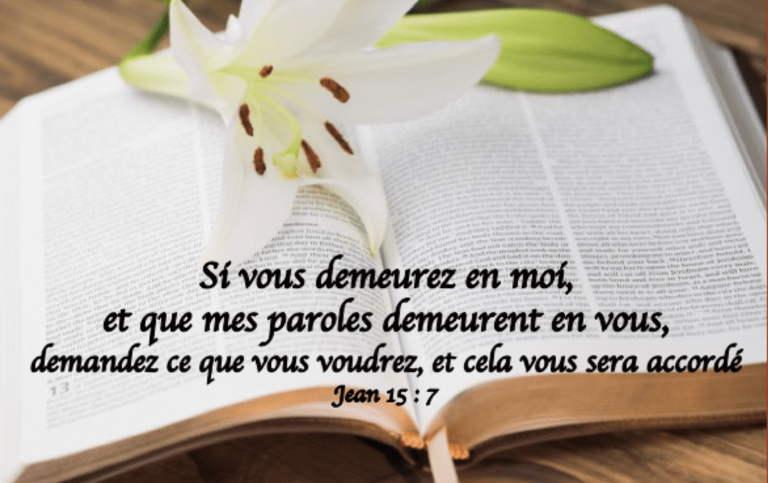 Mercredi 5 mai 2021 - Missionnaires de la Divine Volonté