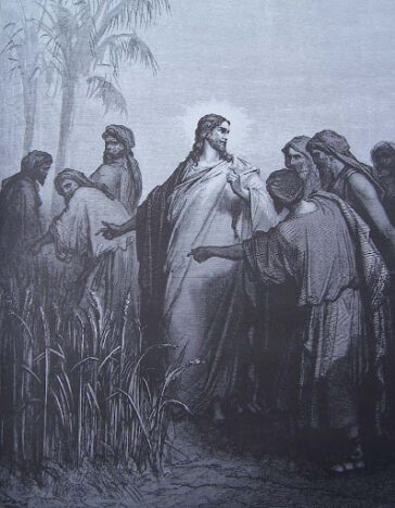 Vendredi 19 juillet 2024 - Missionnaires de la Divine Volonté