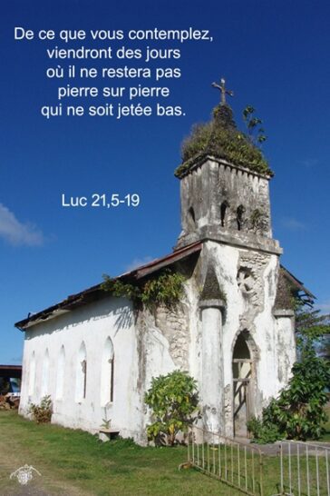Dimanche 16 novembre 2025 - Missionnaires de la Divine Volonté
